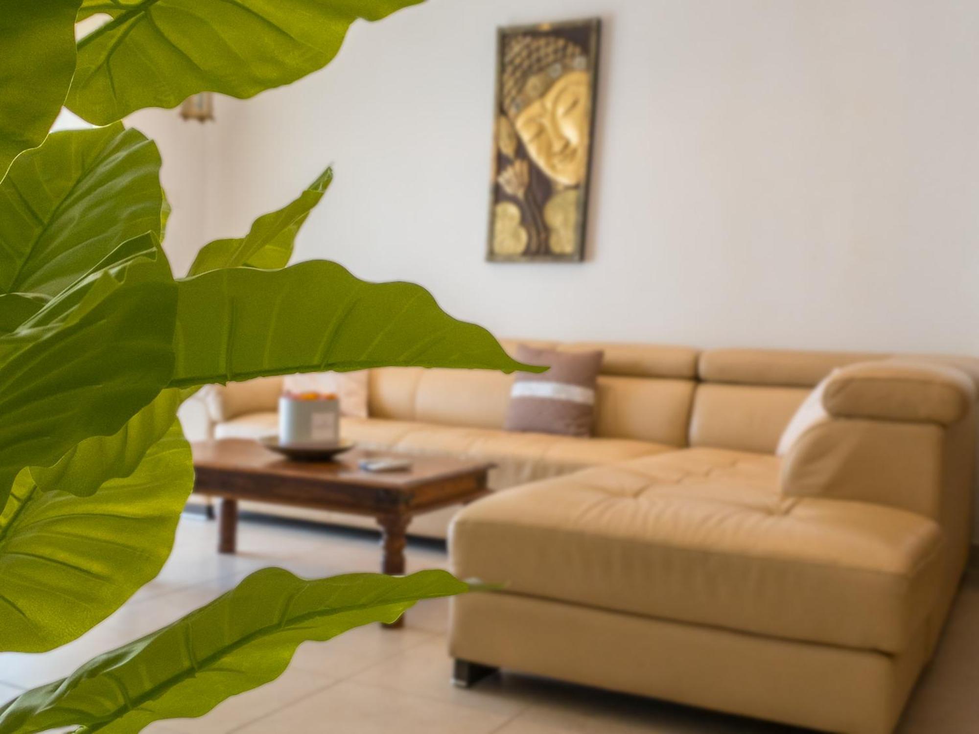 Kimray Boutique Apartment - Indulge In Comfort, Embrace Tranquility マルサスカーラ エクステリア 写真